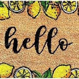 wyldy Natural Coconut Coir Backed by PVC Door Mat Hello Printed Long Lasting Entrance Anti Skid for Indoor,Outdoor, Home and Office - 75 x 1.5 x 45cm (Multicolor) (Hello)-image-25