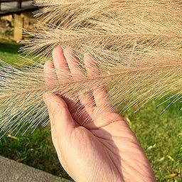HEAVENGLOW Faux Artificial Pampas Grass 70cm Decor Bouquet for Home Decor Light Brown-image-63