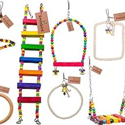 GREENBIRDS 8 Pcs Combo of Bird Toys Wooden Colorfull Bird Ladder, Swing, Bird Perches for Budgies, Love Birds, African Grey Parrots Toys for Birds-image-24