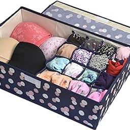 Yellow Weaves Undergarments Organizer for Women | Clothes Organizer for Wardrobe| Storage Box for Clothes Innerwear Bra Panty Socks Ties - Multicolor, Polyester,28W x 12H centimeters, Blue-image-17