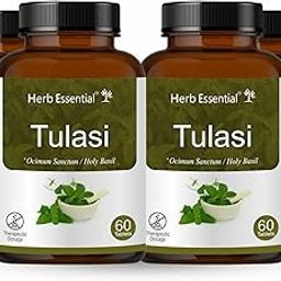 Herb Essential Tulsi Tablet, 500 Mg,240 Tablets | Respiratory Wellness | Relieves cough and cold-image-3