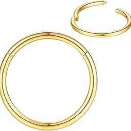 316L Surgical Steel Nose Rings Hoop Septum Clicker Hinged Segment Ring Lip Ear Piercing Earrings for Cartilage Helix Tragus Conch Rook 20g 18g 16g 14g 12g 10g 8g,Inner Diameter 5mm to 22mm-image-11