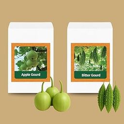 Valar Apple Gourd and Bitter Gourd Seeds | Open Pollinated Non-GMO Seeds | Home Gardening, Balcony Farming, Sweet Snacking-image-95
