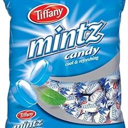 Tiffany Mintz Candy Cool And Refreshing With Individually Wrapped Pieces 700gm Pouch-picture-20