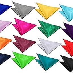 Multicolor Pocket Satin Pocket Square Combo of SIXTEEN (Colors as in the picture)-picture-29