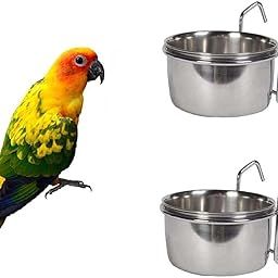 Birds Stainless Steel Feeder Bowl | Parrot Feeding and Watering Premium Hanging cage Bowls | Food Bowls with Holder for All Bird - (250ML, Pack of 2PCS)-11