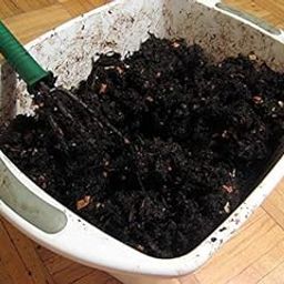 Creative Farmer Natural Vermi Compost - Cacti & Succulent Fertilizers (1 kg)-image-98
