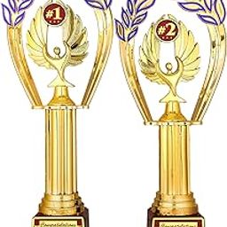 Aark India Trophy for Winner, Runner UP,1st and 2nd Place, Match/Competition/Tournament/Event Function Prize (Set of 2 Pcs) Award (PC002134)-image-39
