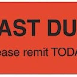 Medical Labels for Past Due, 7/8 x 1-1/2, Orange, 250/Roll-image-67