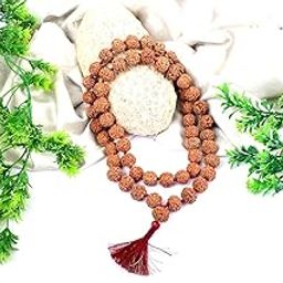 5 Mukhi Rudraksha Mala-Small-54+1 Beads-picture-25