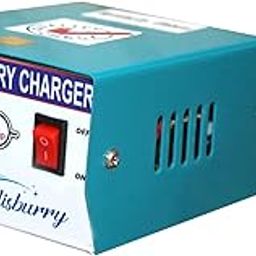 Elisburry Auto Off Agriculture Battery Sprayer Spray Machine Pump Charger 12v Heavy Duty I/P Volt 230V AC-32