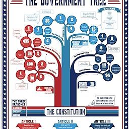 Gilprop US Government Tree Poster the Three Branches of Government Poster US Constitution Poster History Poster Social Studies History Classroom Decorations 16" x 20" Presidents Poster Civics-image-25