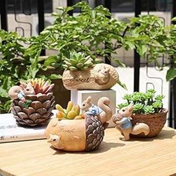 Brotherhood Enterprise Ceramic, Resin Pot Combo Cute Squirrel Fleshy Succulent Planter Pot Handpicked Beauty Enhancer Design|Polyresin Pot Without Plant Pack Of 4, Multicolour-image-34