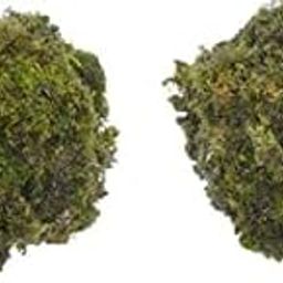 DR ARYA Natural Dried Moss Grass Preserved For Pots With The Nice Green Appearance For Home and Garden - 2 KG-image-25