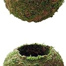 SAZ DEKOR® 2 x Creative Moss Ball Flower Pot Planter Bonsai Plant Holder Garden Decor-picture-16
