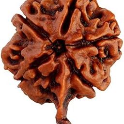 Saubhagya Global Ganeshji Rudraksha Lab Certified Original Pure Siddha in Handmade Tassel, Nepal Beads, Size 18-24mm, Color-Brown-picture-54