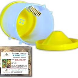 Fruit Fly Trap + Bactrocera dorsalis Pheromone Lure (Combo Pack of 2 Sets) for Attracting, Trapping Oriental Fruit Fly Insect s in Mango, Guava, Citrus, Watermelon, Orange etc-image-31