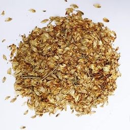 Casuarina equisetifolia-Australian pine seeds-Casuarina seeds-Casuarina equisetifolia seeds (Australian Pine Tree) Choola Evergreen Tree, best host for White sandal wood Tree Seeds 10 gm-image-40