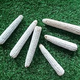 Ganga Jee's Natural Maize Cob Fire Starter for (Cooking |Fireplaces |Fire Pit| Lohri | Havan |Wood Stoves) - 500 gm.-image-28