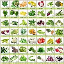 FLARE SEEDS Vegetable & Fruit Seeds Combo Home Garden Pack (Pack of 50)-16