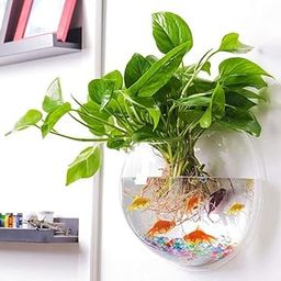 SHOBHANA ENTERPRISES Crystal Clear Glass Wall Aquarium Or Wall Vase For Home Decor (6 Inch)-image-78