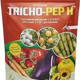 Titan Agritech Limited TRICHO-PEP H Trichoderma harzianum 1.0% W.P | Controls Soil-Borne Fungal Diseases & Enhances Root Health_1kg-13