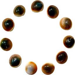 The Leading Light Original Gomti Chakra Dwarka Gomti River for Astrological and Spiritual Significance (1)-image-34