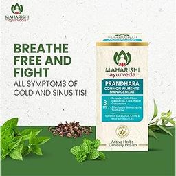 WellAura MAHARISHI ayurveda Prandhara Oil - 3ml, Pack of 4-(MA009-C)-image-18