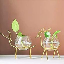 Home Trends India Unique Glass Planter Holder - Deer Glass Pot Flower Vase | Elegant Handmade Decorative Round Glass Vase for Home & Office Décor Gold Design (Set of 2)-image-10