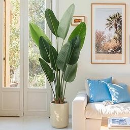 TIED RIBBONS 6 Feet Height Large Size Artificial Tree Plant Bird of Paradise Fake Tree with 10 Leaves Faux Plants in Pot for Indoor Outdoor House Home Office Garden Decoration (6 feet, 10 Leaves)-image-53