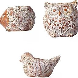 3X Succulent Planter Cactus Planter for Outdoor Indoor Decoration-image-39