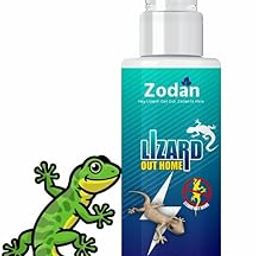 ZODAN Lizard Repellent for Home Spray Lizard Control | Made with Plants Oil, Natural Non Toxic, Irritant Free, Chemical-Free | Baby Skin Safe Plant Safe [Pack of 1]-picture-19