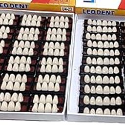 Dental Leo Dent Acrylic Teeth Kit Sets Shade Of Teeth (Upper 4-23, Upper 6-24)-59