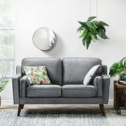 ESPOSENDE OSENNS0017 2 Seater Sofa for Living Room Velvet Fabric Two Seater Sofa Set for Bedroom & Office Modern Compact Loveseat Couch for Small Spaces & Hall Stylish Grey Finish-image-60