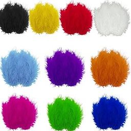 Asian Hobby Crafts Natural Dyed Feathers for DIY, Crafts Project, Dream Catcher Making, Projects Earrings Colourful for Kids | Pack of 10 Colors |250 Pieces |25 Pieces Each Color |4-5 Inch Approx.-12