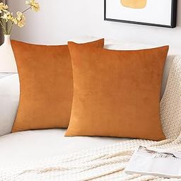 IVAZA Velvet Decorative Cushion Cover 16x16 Inch - Set of 2, Soft Solid Square Throw Pillow Covers for Sofa, Living Room or Home Decor - 40x40cm Burnt Orange-10