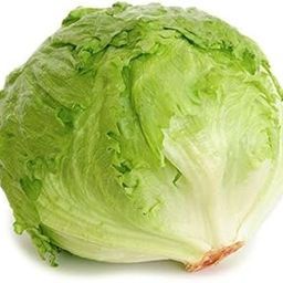 Green Gallery Lettuce Iceberg Fresh Vegetable Seeds for and Kitchen Outdoor Gardening Planting Farming-image-41