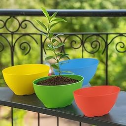 Go Hooked Oval Plant Pot Lightweight Polymer Small Flower Pot Set of 4pcs Decorative Planter for Balcony, Office Desk, Indoor Plants, Succulents & Bonsai, 22 x 13.5 x 11 cm-image-95