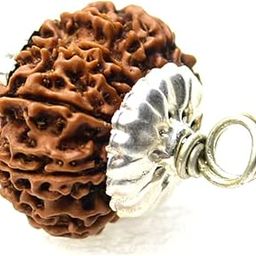 9STARS 11 Mukhi Rudraksha Original Certified Nepali 22mm 11 Faced Rudraksha Pendant Eleven Face / 11 Face Rudrakshaa Original Nepal 11 मुखी रुद्राक्ष ओरिजनल Nepali for Men & Women-picture-50