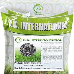 SK ORGANIC COFS 29 Multicut Grass Seeds for cow buffalo goat cattle fodder 3 years variety (250gms)-image-67