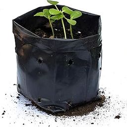 Go Garden 8 x 10 Inch Plastic Poly Grow Bags for Home Gardens - Perfect for Plantation and Used in Every Plant Nursery - Ideal for Home Plants (Black - 50 Qty)-16