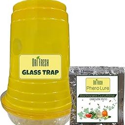 OriFresh Glass Trap (Bactocera Cucurbitae) Pheromone Eco Trap with Melon Fly Lure (5)-image-57