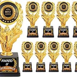 10 PC Trophy 01 for Events, Functions, Award (21 cm)-picture-0