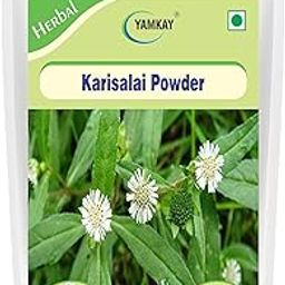Yamkay Natural Organics Pure Karisalai Bhringraj Eclipta alba Powder 100gm-image-52