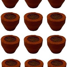 Havan Cups for Pooja Hawan Jatamasi Tulsi Ashwagandha Guggal Loban Dried Flowers Sambrani Dhoop Cups Sambrani Dhoop Cups for Combo Havan Cups for Pooja Loban Cups Pack of 12 // Q5-21