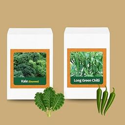 Valar Green Long Chilli and Kale | Open Pollinated Non-GMO Seeds | Home Gardening, Balcony Farming, Organic Veggies-picture-16
