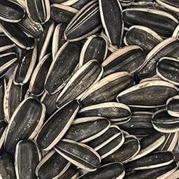 Sunflower Seeds(Big) for Gray Parrot,Indian Parrot, Macaw,Cockatoo and Exotic Birds (900gms)-Central Fish Aquarium-900GMS-image-27