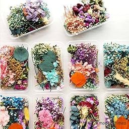 BRIGHTAIL INFRA Natural Real Dried Flowers for Art Craft Mixed Soap, Candle, Scrapbook, DIY, Resin Tray Jewellery, Pendant- [Random Box, Multicolour] (1)-image-5