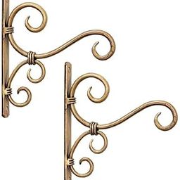 PURCHAZE24X7 Metal Wall Hook for Hanging Plants and Plant Stand, Lanterns Bird Feeders/Wall Bracket Hanging Hook (Golden Color Set of 2)-image-66