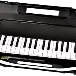 BLUEBERRY Melodica 37 Keys Piano Instrument Soprano Air Piano with Mouthpiece with Hard ABS Case for Music Lovers Beginners Kids - BLACK-picture-17